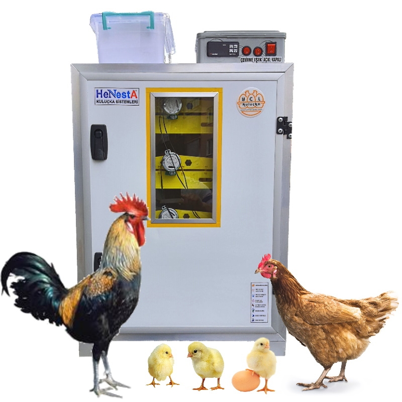 Tavuk Kuluçka Makinesi - Tam Otomatik 147 Yumurta Kapasiteli - Henesta