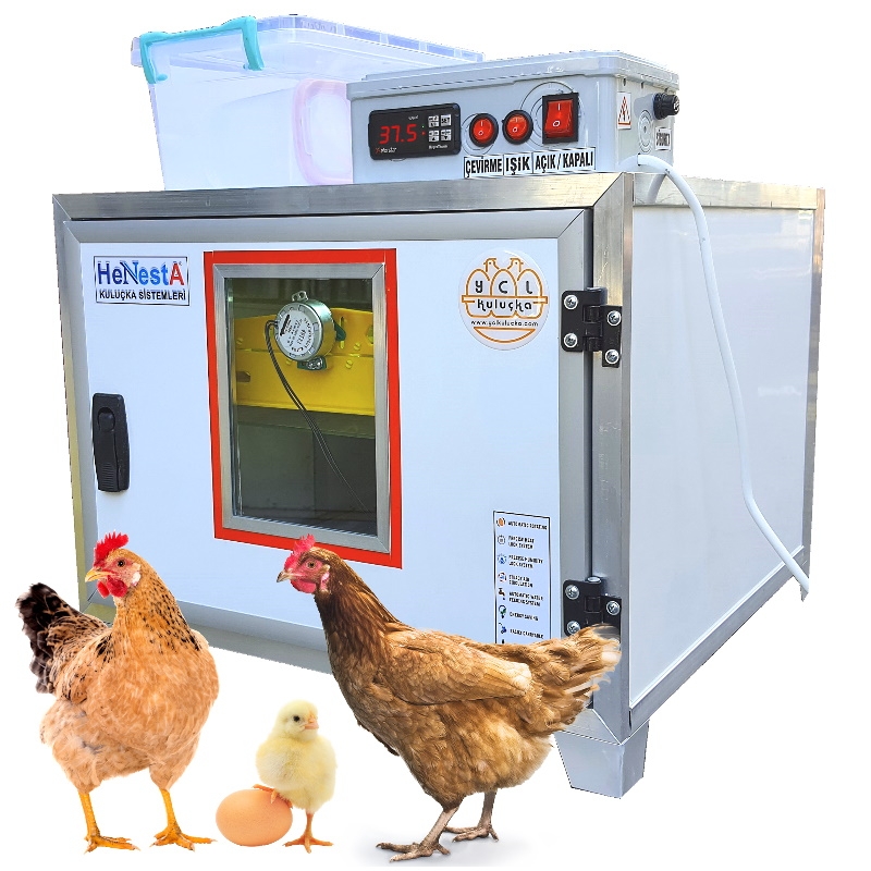 Chicken Incubator 49 Egg Capacity Full Automatic - Henesta
