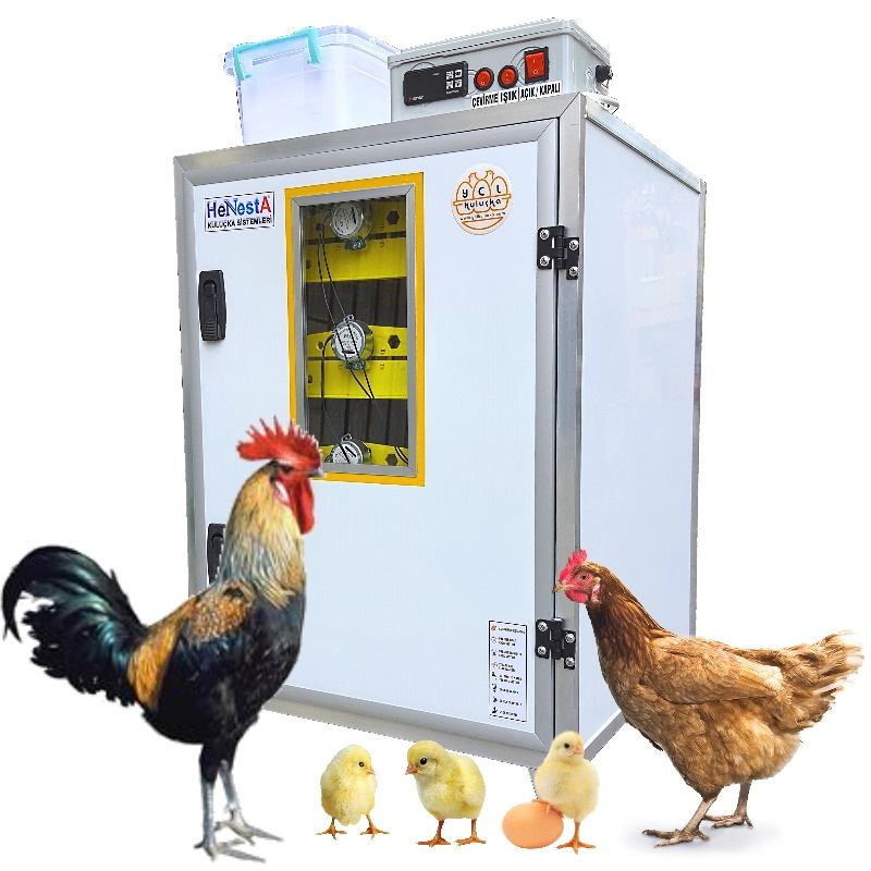 Chicken Incubator 147 Egg Capacity Full Automatic - Henesta