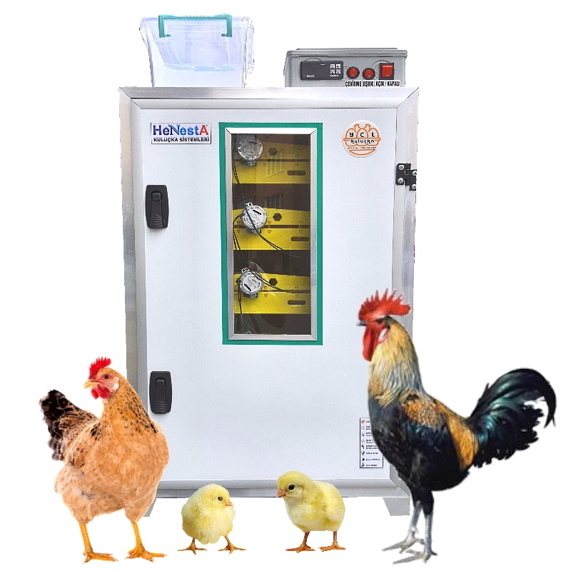 Chicken Incubator 196 Egg Capacity Full Automatic - Henesta