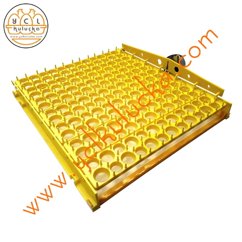 Quail Incubator 168 Egg Capacity Full Automatic - Henesta