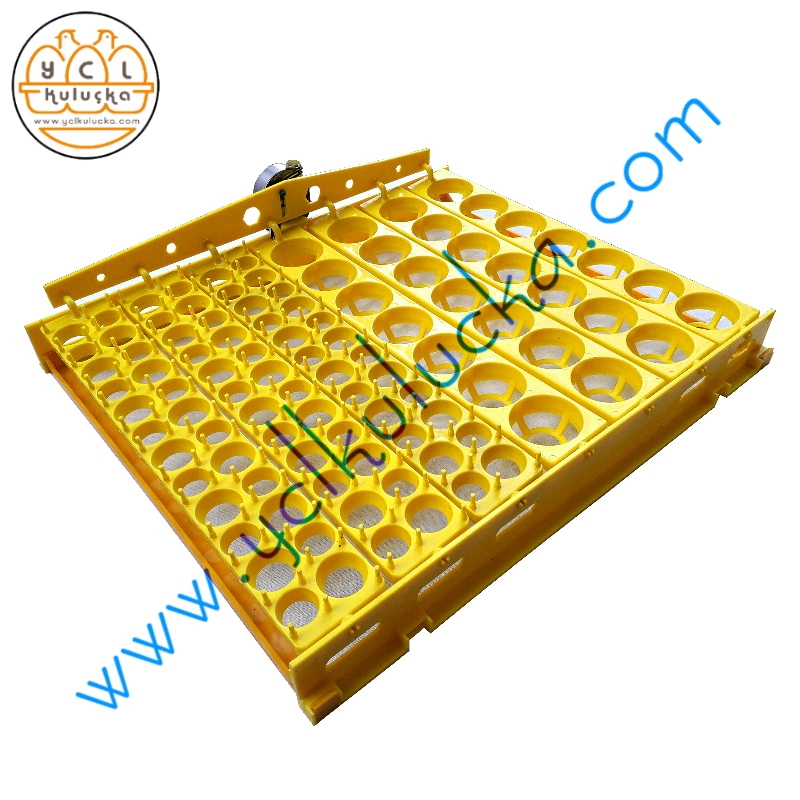 Quail Incubator 336 Egg Capacity Full Automatic - Henesta