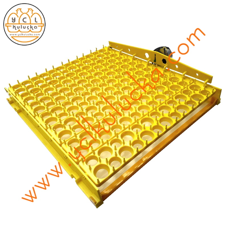 Quail Incubator 504 Egg Capacity Full Automatic - Henesta