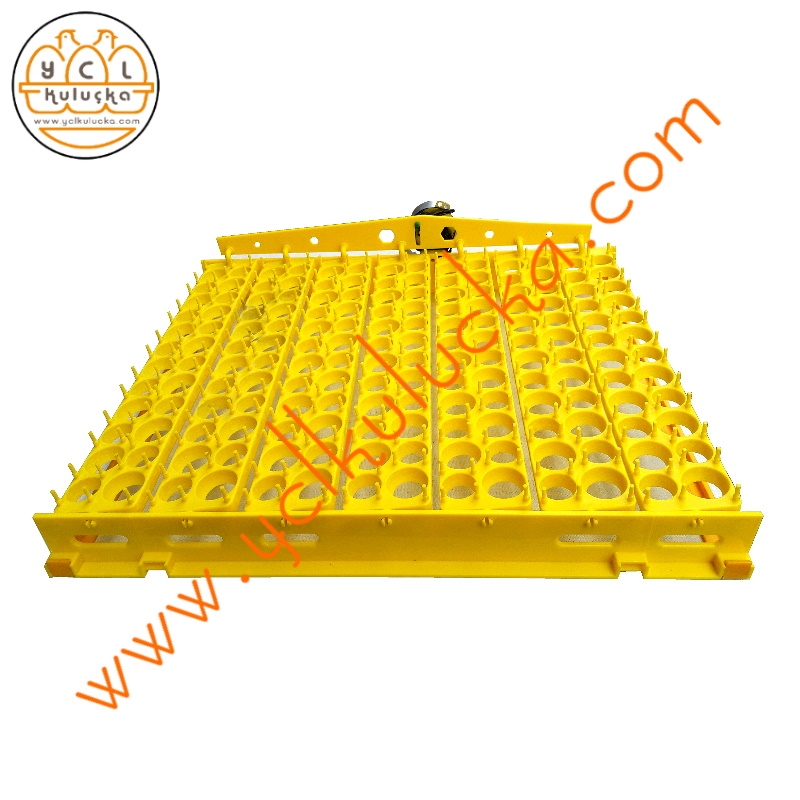 Quail Incubator 504 Egg Capacity Full Automatic - Henesta