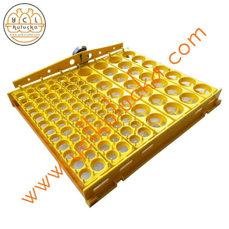 Quail Incubator 672 Egg Capacity Full Automatic - Henesta